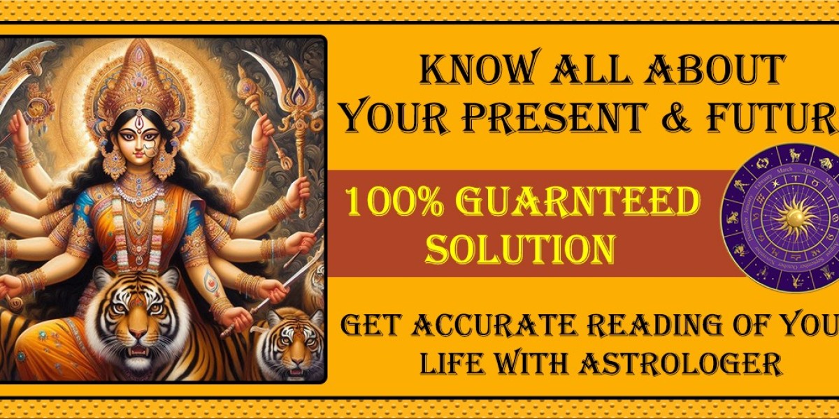 Top Astrologer in Ludhiana