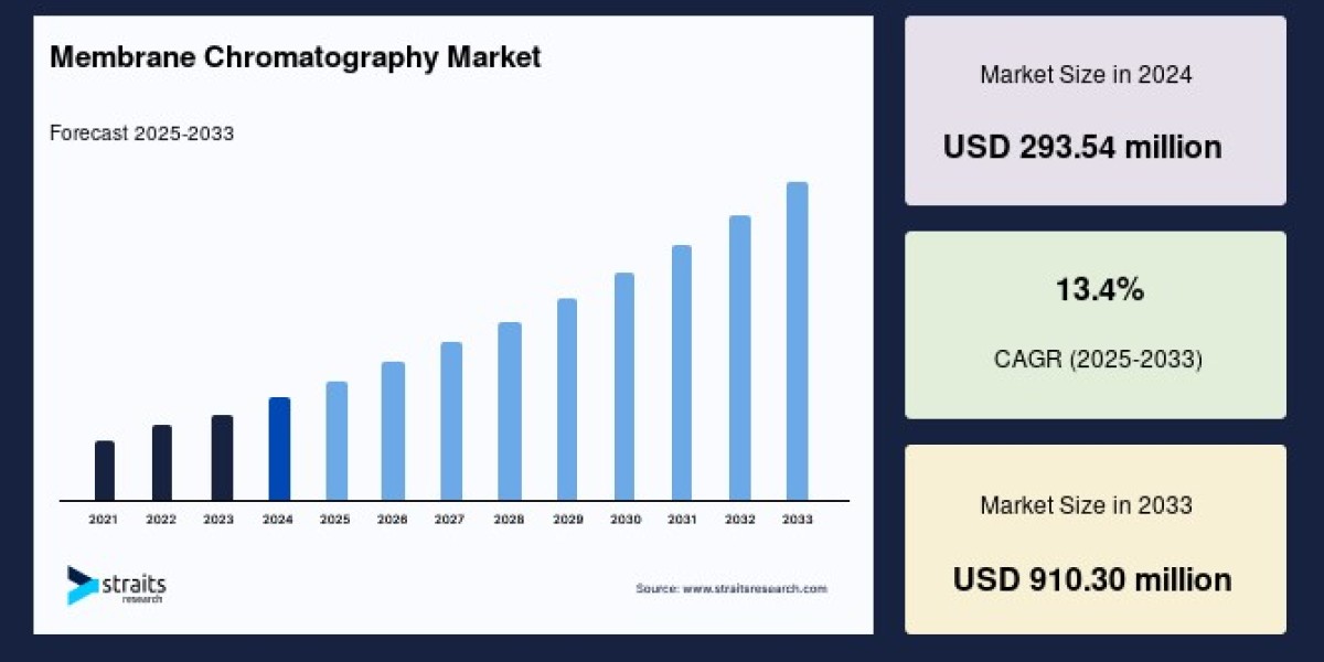 Membrane Chromatography Market Outlook 2033: Key Trends and Growth Opportunities You Can’t Miss